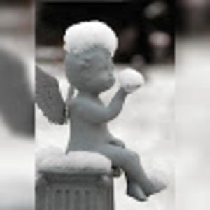 Meet your Posher, Johnsie